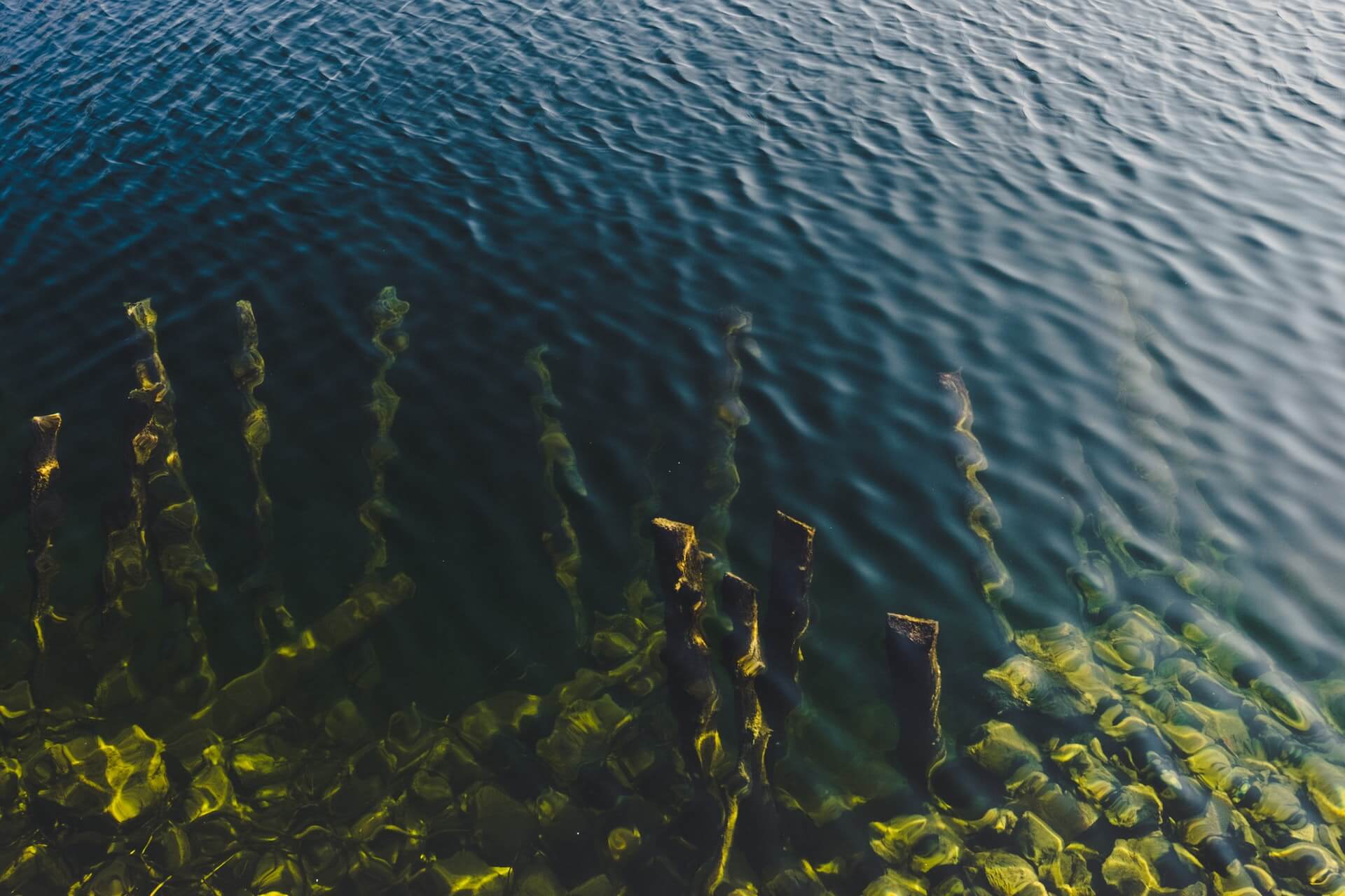 белое море под водой